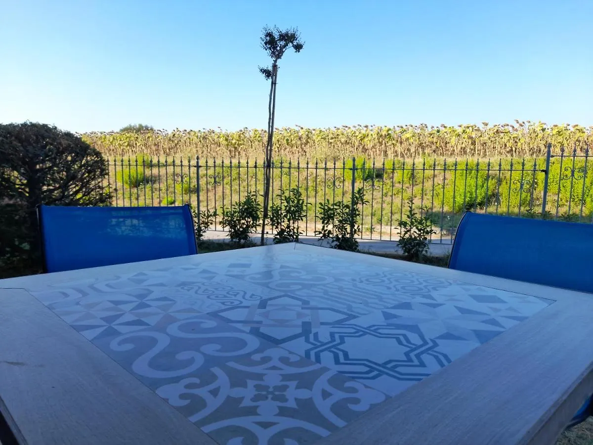 Da Dany Bed & Breakfast Monte San Vito Italy